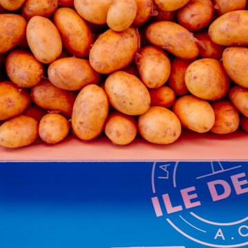 Pommes de terre de l'île de Ré