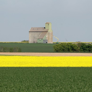 Saint-Médard d'Aunis