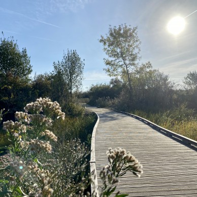 Reconnect with nature at Marais Tasdon 