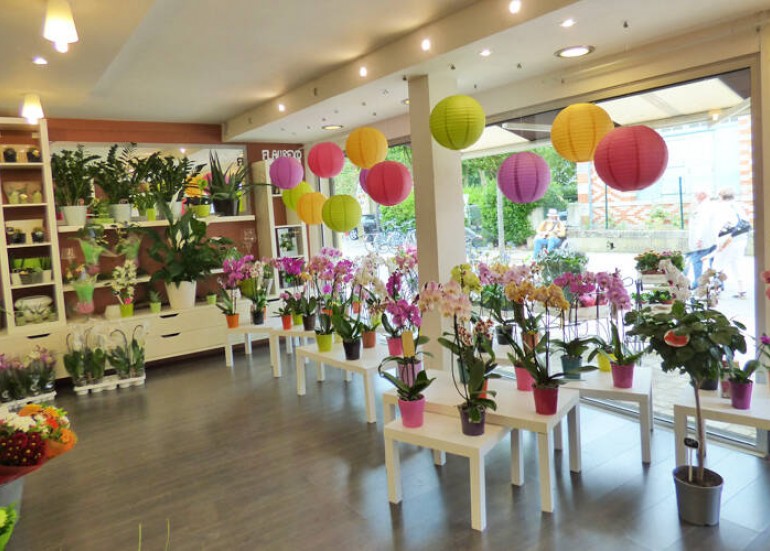 Fleuriste Flaurexo Fleuriste Flaurexo