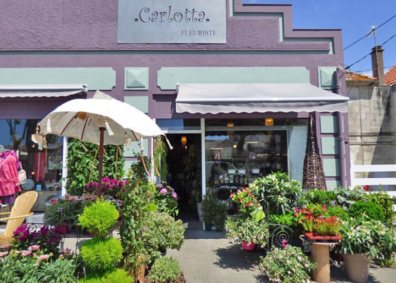 Fleuriste Carlotta Fleuriste Carlotta