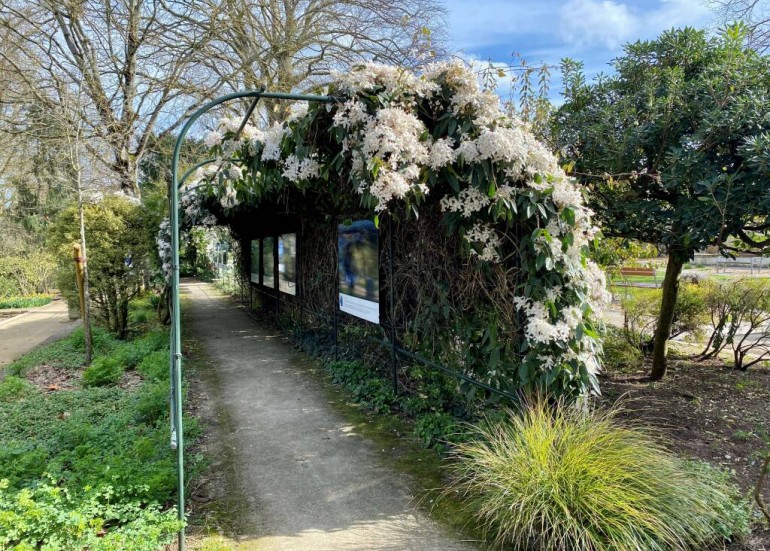 Jardin des Plantes