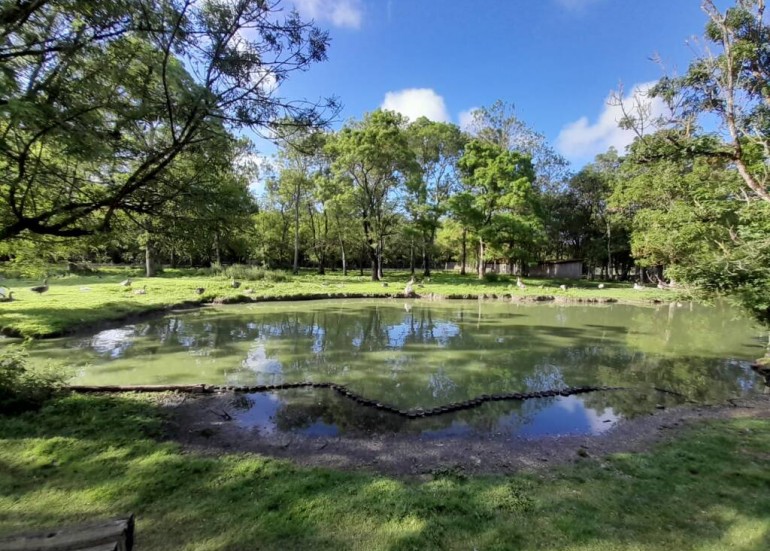 Le Marais aux Oiseaux