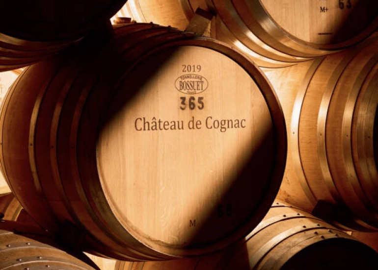 Visite Château de Cognac - Maison des cognacs BARON OTARD & D'USSÉ