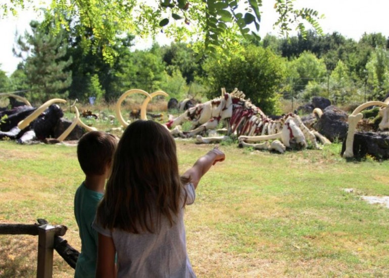 Paléosite Paléosite