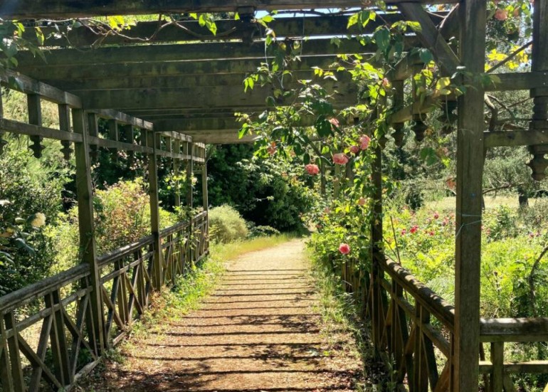 Parc Franck Delmas