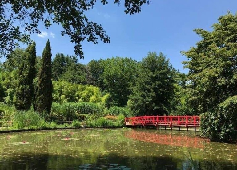 Parc floral de La Court d'Aron Parc floral de La Court d'Aron