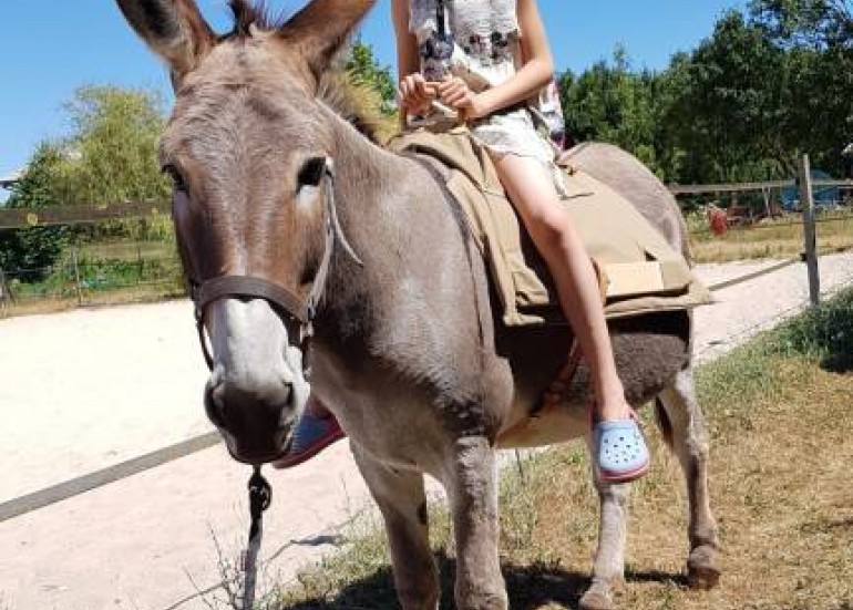 Walk with a donkey - Antoine Vaillant Walk with a donkey - Antoine Vaillant