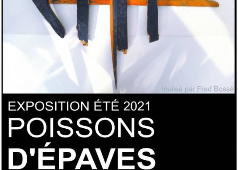 Exposition : Poissons d'épaves Exposition : Poissons d'épaves