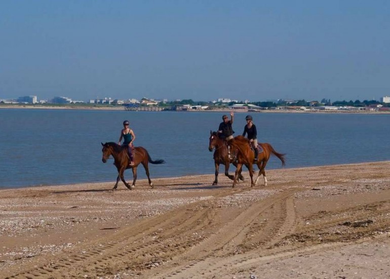 Randonnées et balades à cheval - Centre équestre La Petite Ecurie Randonnées et balades à cheval - Centre équestre La Petite Ecurie