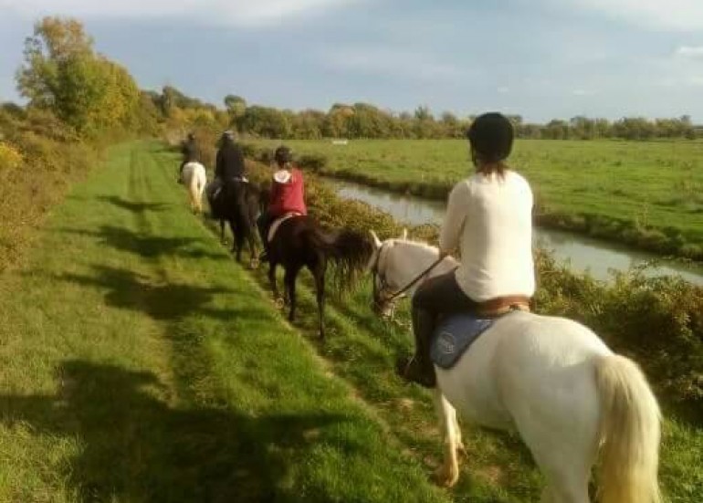 Randonnées et balades à cheval - Centre équestre Le Marais en Selle Randonnées et balades à cheval - Centre équestre Le Marais en Selle