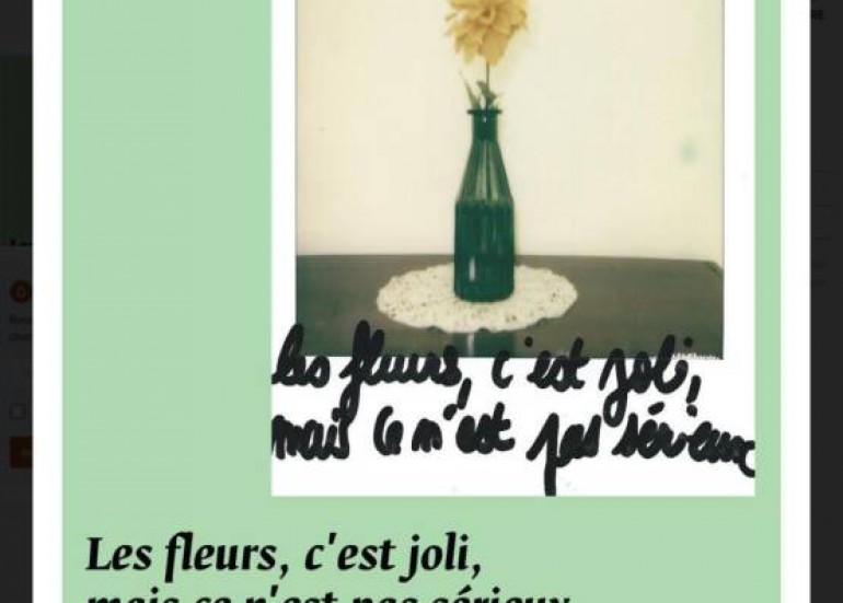 Exposition - Les fleurs, c'est joli, mais ce n'est pas sérieux - Sandrine Rodrigues_La Rochelle