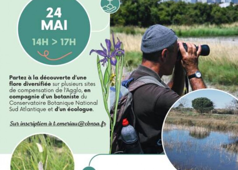Balade nature - Programme BiodiverCité à Angoulins_Angoulins