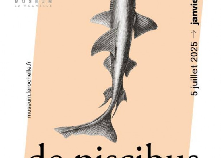 Exposition - De piscibus - Dessiner la faune marine de Aldrovandi à l'époque contemporaine_La Rochelle