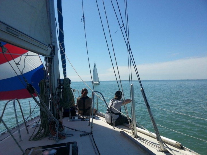 Kelone Balade En Mer Croisieres Et Stages Locations De Bateaux In La Rochelle La Rochelle Tourisme