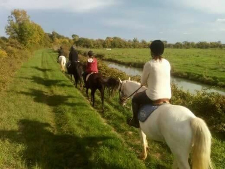 Equestrian Center Le Marais en Selle