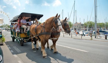 VISITE GUIDÉE : LA ROCHELLE AU PAS DES CHEVAUX VISITE GUIDÉE : LA ROCHELLE AU PAS DES CHEVAUX