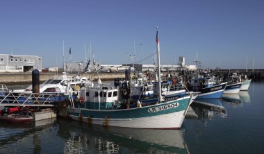 Catherine Sioniac – Syndicat Mixte du Port de pêche de La Rochelle Catherine Sioniac – Syndicat Mixte du Port de pêche de La Rochelle