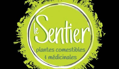 ANIMATION : DECOUVERTE DES PLANTES COMESTIBLES ET MÉDICINALES ANIMATION : DECOUVERTE DES PLANTES COMESTIBLES ET MÉDICINALES