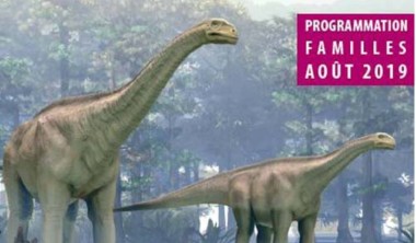 ANIMATION : EN FAMILLE AU MUSEUM ANIMATION : EN FAMILLE AU MUSEUM