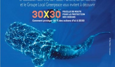 CONFÉRENCE-DÉBAT : COMMENT PROTÉGER LES OCÉANS D'ICI 2030 ? CONFÉRENCE-DÉBAT : COMMENT PROTÉGER LES OCÉANS D'ICI 2030 ?
