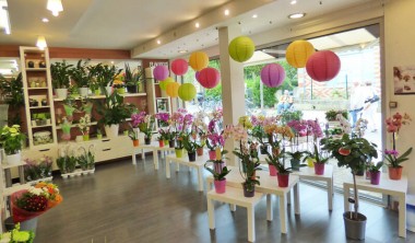 Flaurexo Boutique Intérieur Flaurexo Boutique Photo