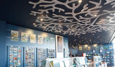 Mémoires d'océans - La boutique de l'aquarium Mémoires d'océans - La boutique de l'aquarium