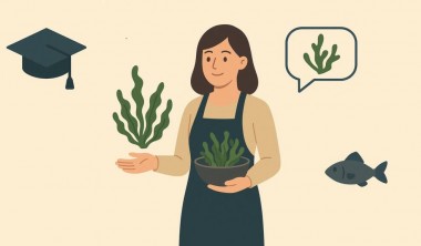 Lundi 1er décembre - Formation sur la cuisine aux algues_La Rochelle