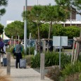 Aéroport La Rochelle - Île de Ré