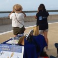 Point de vue sur les oiseaux du bord de mer