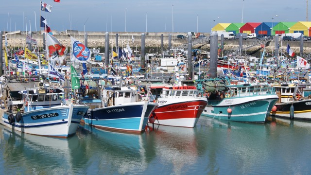 Bateaux amarrés au port de pêche