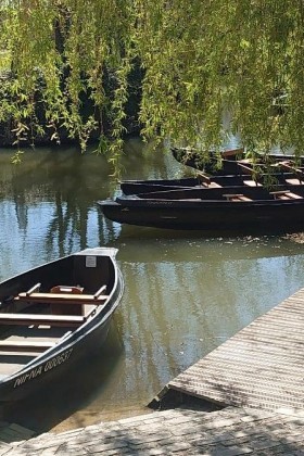 Excursions dans le Marais poitevin depuis La Rochelle