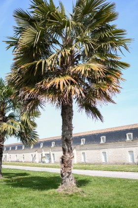 Excursion à Rochefort & Brouage depuis La Rochelle